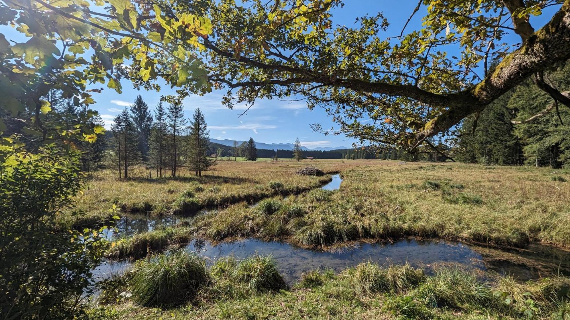 Liboria I Traumhafte Ferienwohnung In Aidling Am Riegsee Mit Atemberaubendem Panoramablick! المظهر الخارجي الصورة
